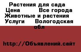 Растения для сада › Цена ­ 200 - Все города Животные и растения » Услуги   . Вологодская обл.